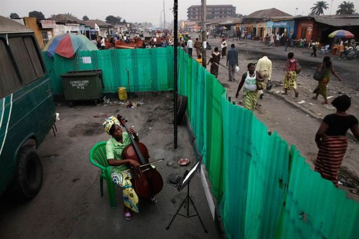 violin violin