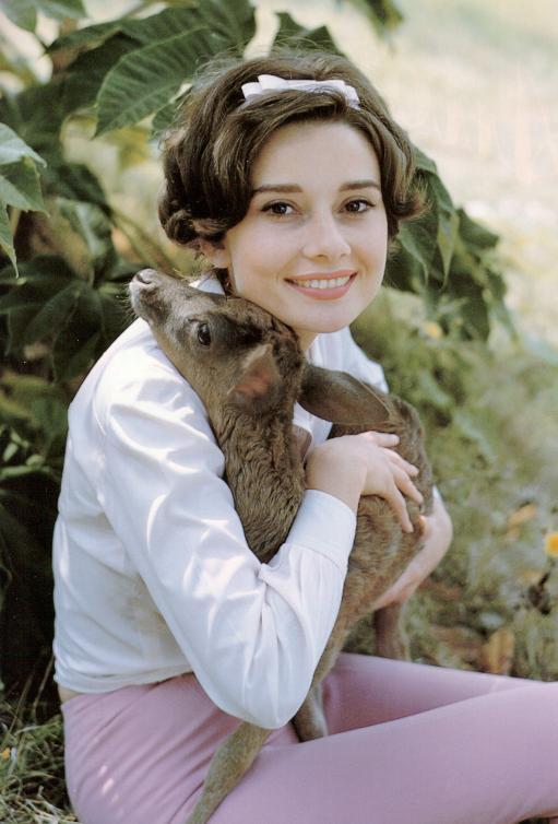 Audrey