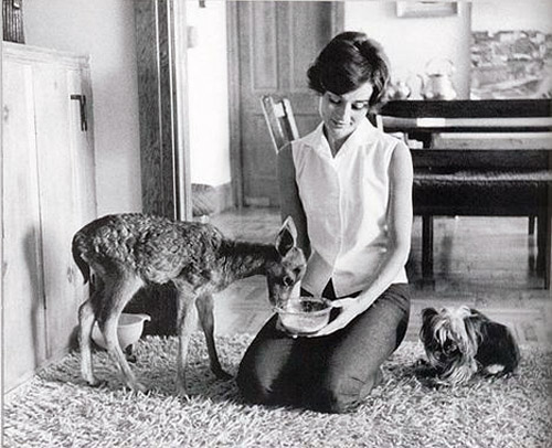 Audrey