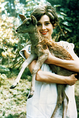 Audrey